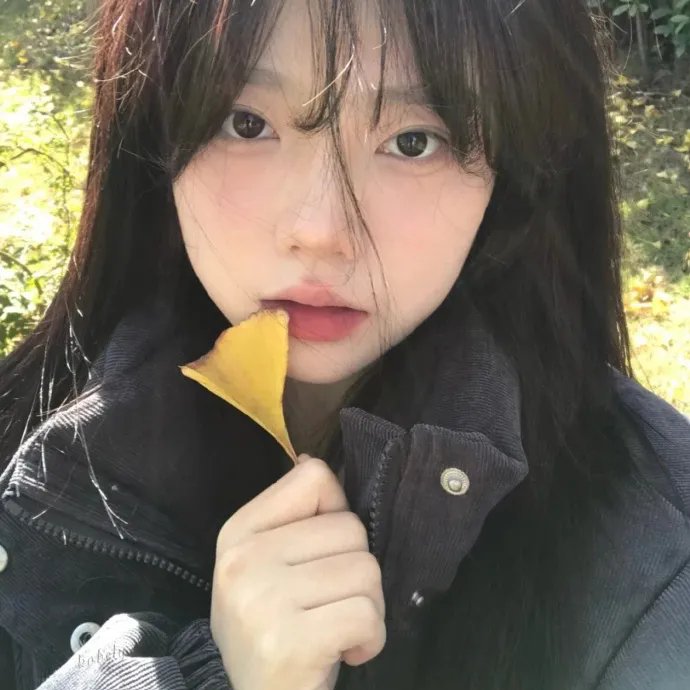 北方之子
